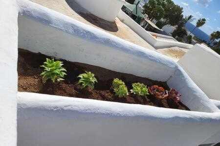 Fantástico apartamento en Las Coronas, gran terraza con vistas al mar y recién reformado completamente Costa Teguise Esterno foto